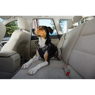 The all new Ruffwear Load- up vehicle  restraint harness