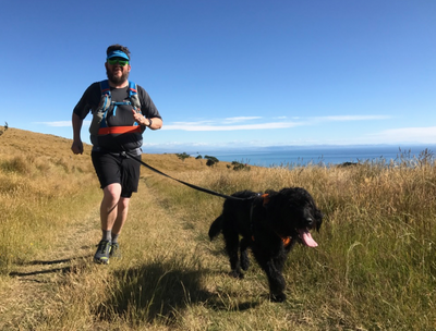 4 Paws Marathon - with your dog!