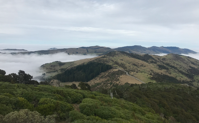 Banks Peninsula Adventure Race!