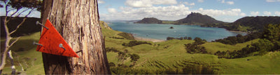 Hiking the Te Araroa, North to South.