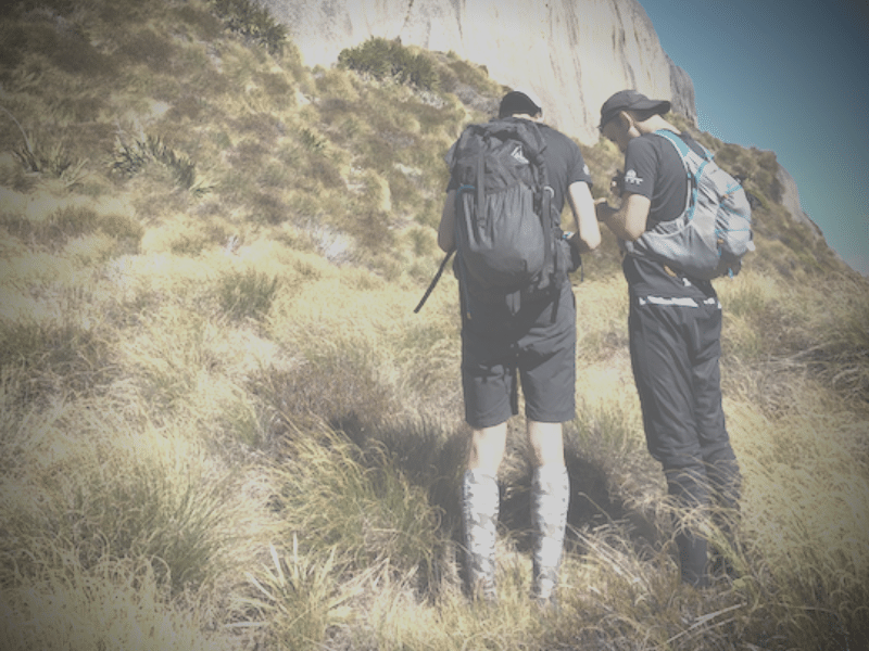 NewTopo