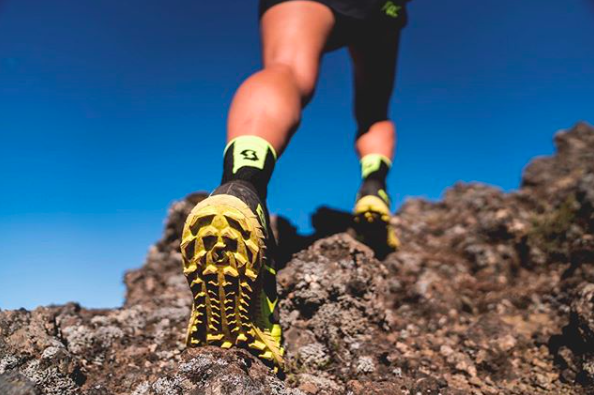 Scott Running Shoes NZ