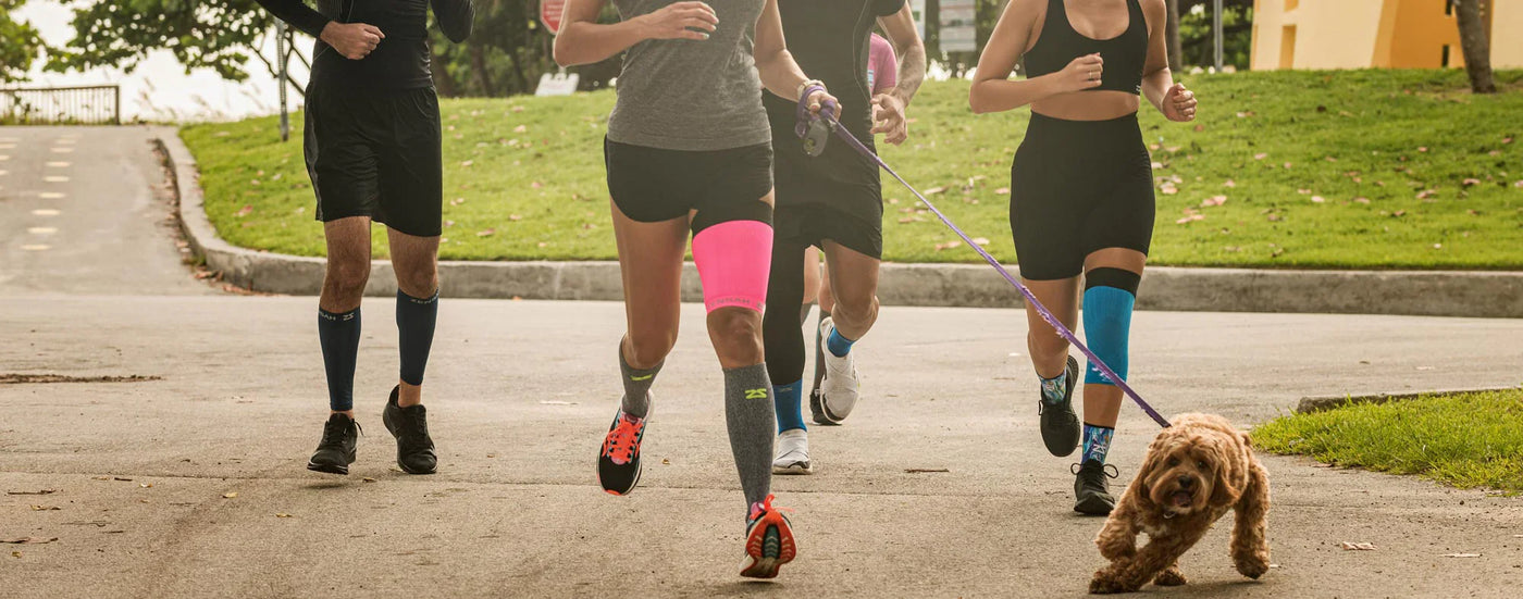 Zensah Premium Compression Socks, Sleeves