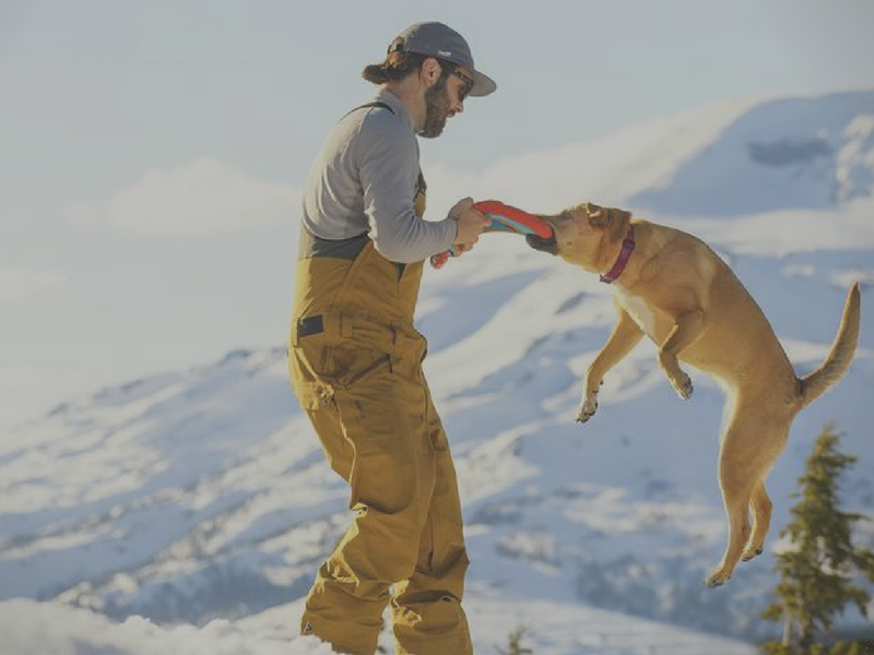 Dog Toys NZ