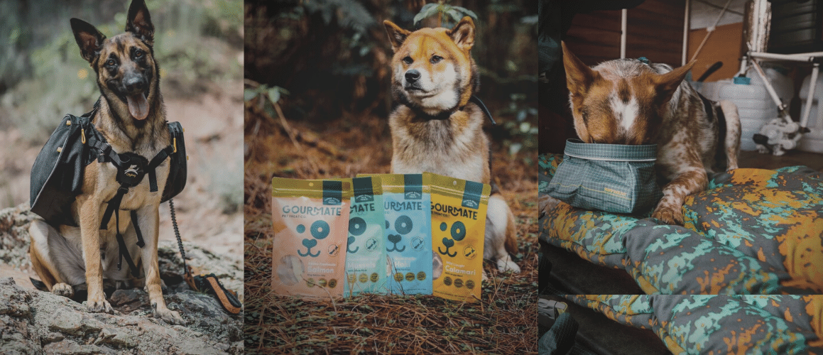 Dog Treat Bags and Dog Water Bottles NZ