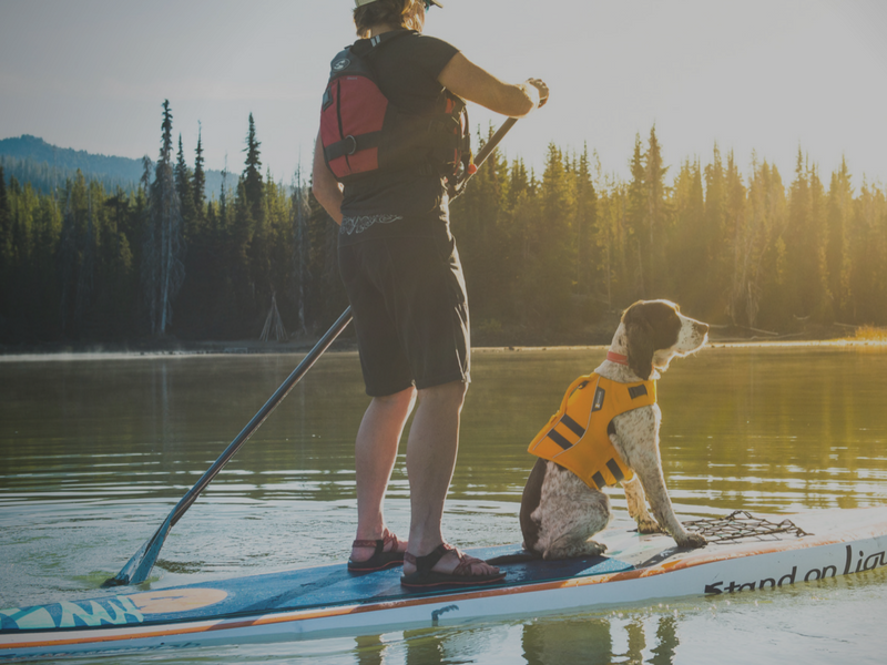 Paddling with Dogs
