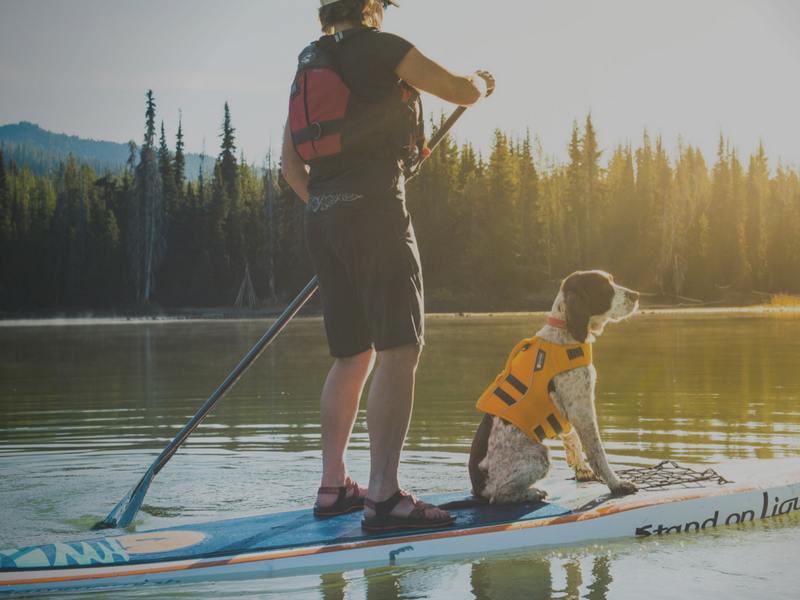 Life Jackets for Dogs