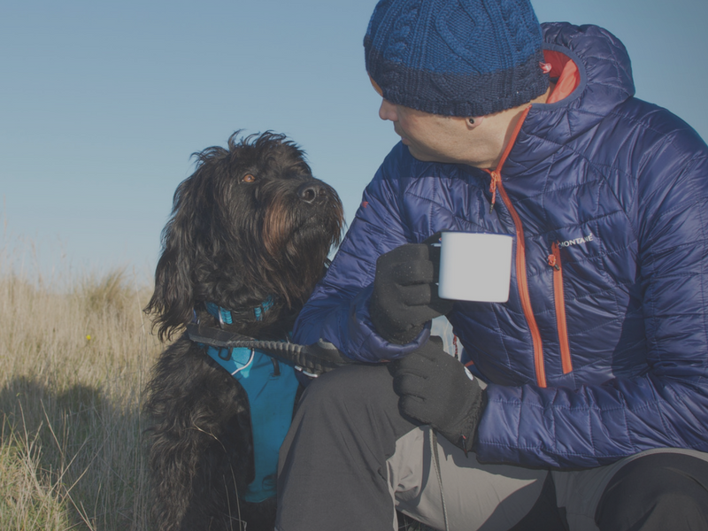 CAMPING WITH DOGS | Ruffwear and Olly Dog Products NZ