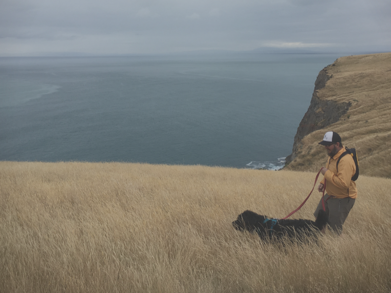 Windproof Mens Jackets | Hiking and Trail Running Jackets NZ