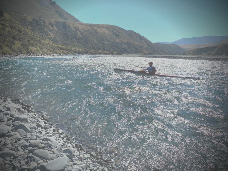 Rasdex NZ