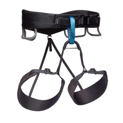 Black Diamond Momentum Harness - Mens | Climbing Harness NZ | Further Faster Christchurch NZ | #anthracite
