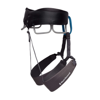 Black Diamond Momentum Harness - Mens | Climbing Harness NZ | Further Faster Christchurch NZ | #anthracite