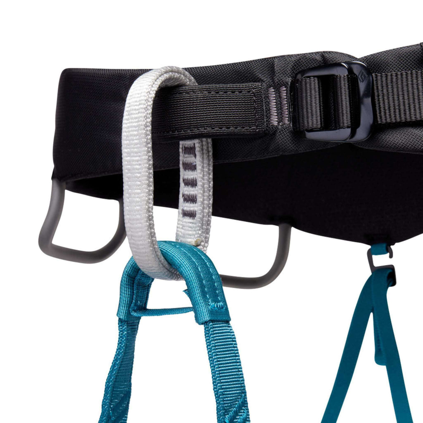 Black Diamond Momentum Harness - Womens | Climbing Harness | Further Faster Christchurch NZ | #aqua-verde