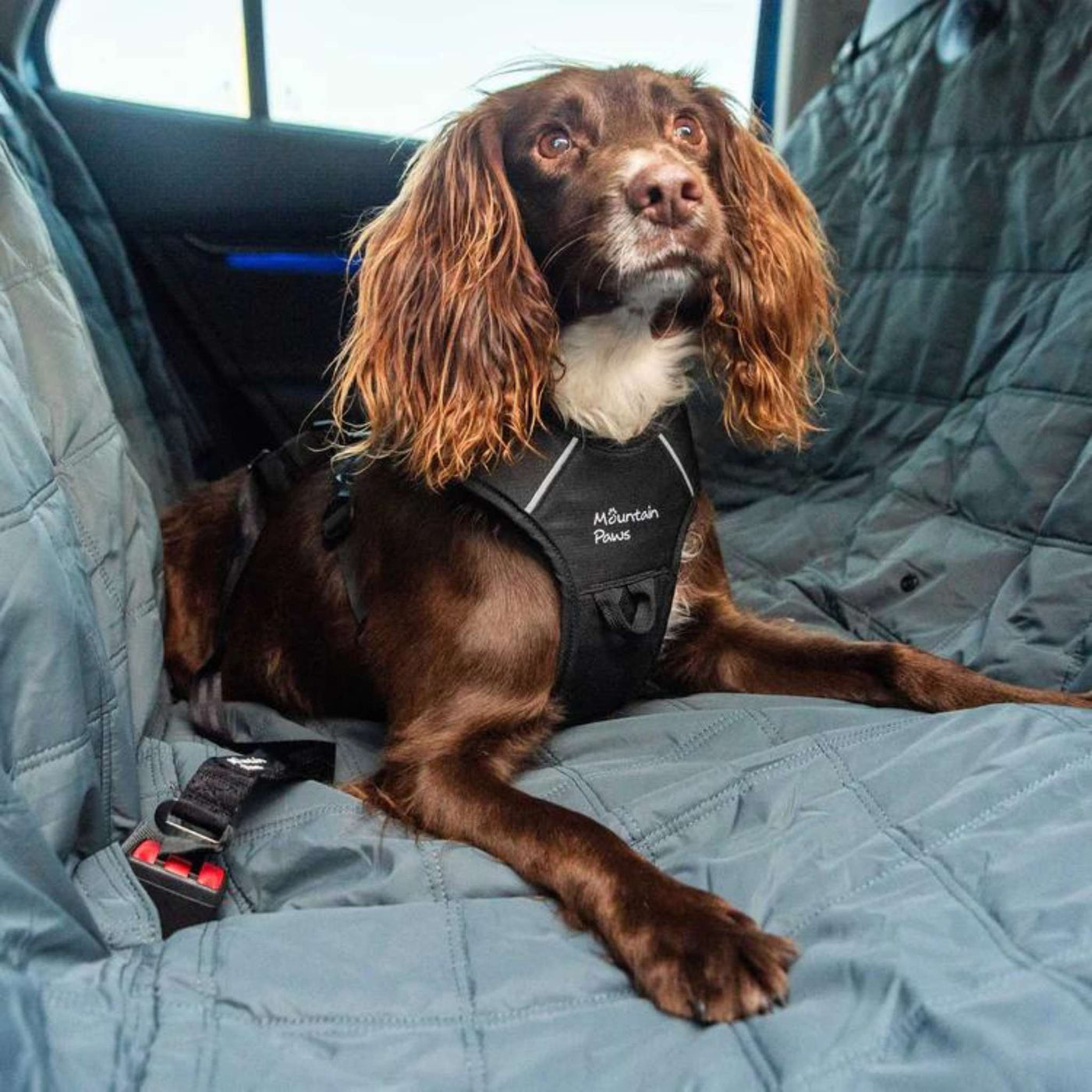 Mountain Paws Extra Tough Car Seat Cover | Dog Car Seat Cover | Further Faster Christchurch NZ