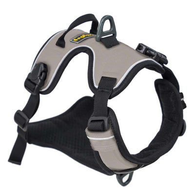 OllyDog Alpine Reflective Harness | Dog Leash and Harness | Further Faster Christchurch NZ | #champagne