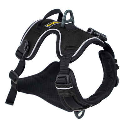 OllyDog Alpine Reflective Harness | Dog Leash and Harness | Further Faster Christchurch NZ | #raven