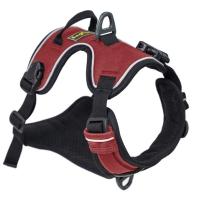 OllyDog Alpine Reflective Harness | Dog Leash and Harness | Further Faster Christchurch NZ | #vino