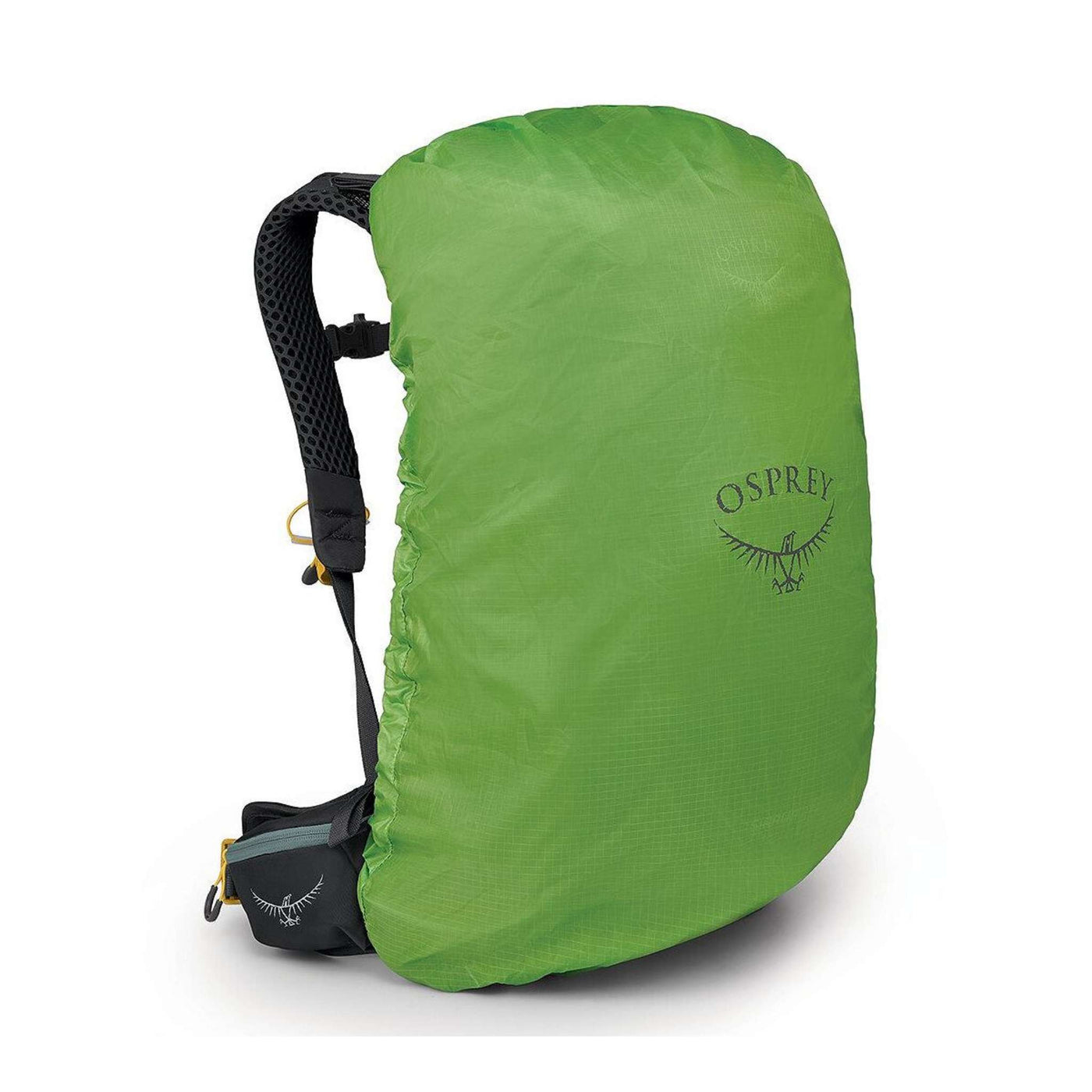 Osprey Sirrus 24 - Womens | Tramping Pack | Further Faster Christchurch NZ | #succulent-green