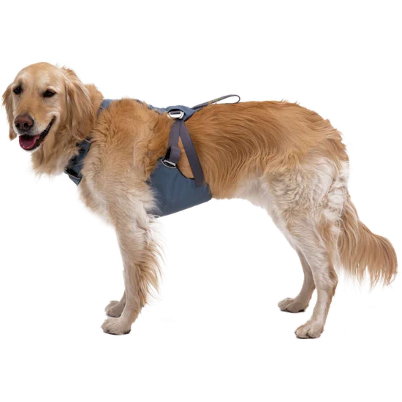 Ruffwear Load Up Dog Harness | Ruffwear NZ | Ruffwear NZ | Further Faster Christchurch NZ #slate-blue