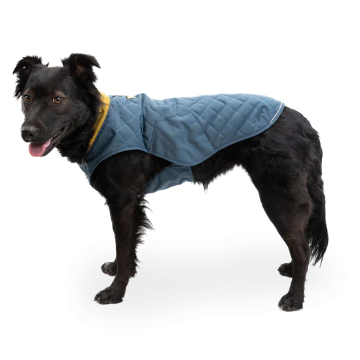 Ruffwear Stumptown Dog Jacket | Outdoor Dog Gear | Ruffwear NZ | Further Faster Christchurch NZ #orion-blue