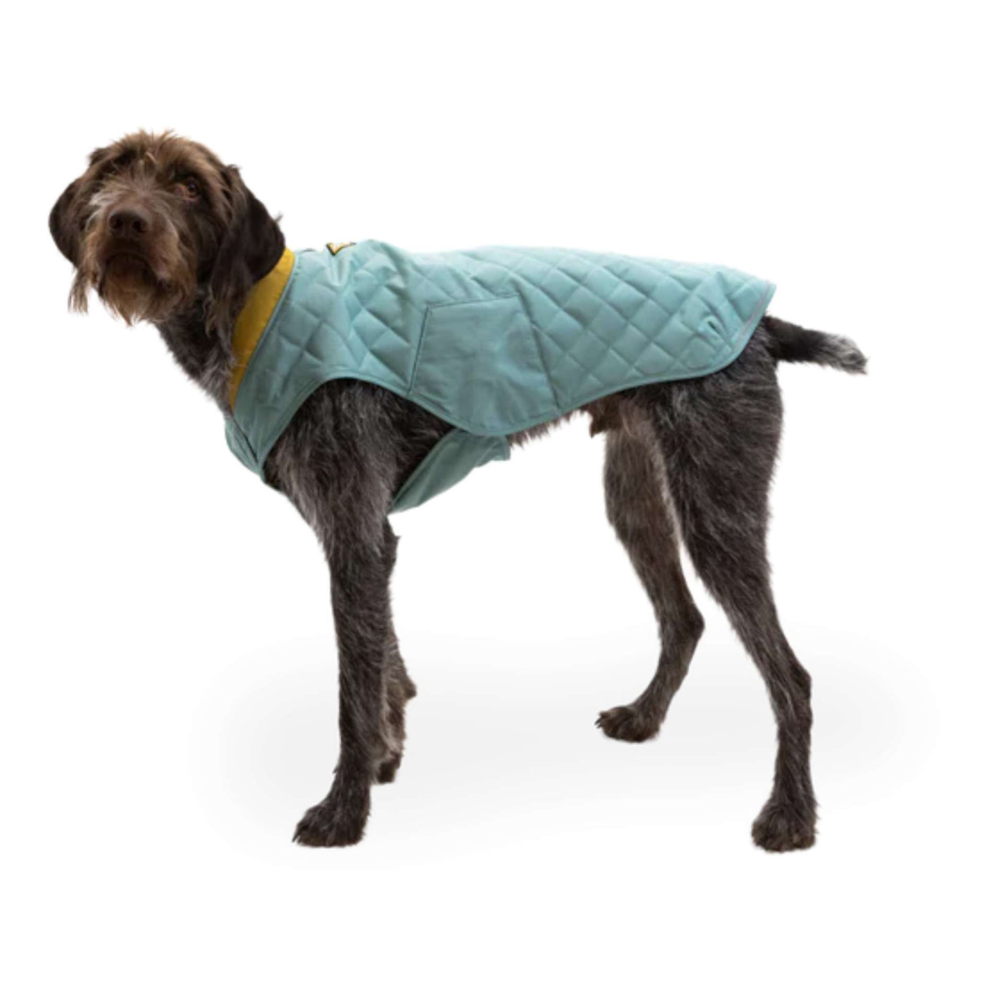 Ruffwear Stumptown Dog Jacket | Outdoor Dog Gear | Ruffwear NZ | Further Faster Christchurch NZ #river-rock-green