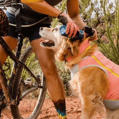 Dog Cooling NZ | Ruffwear Swamp Cooler Zip Vest | Further Faster Christchurch NZ