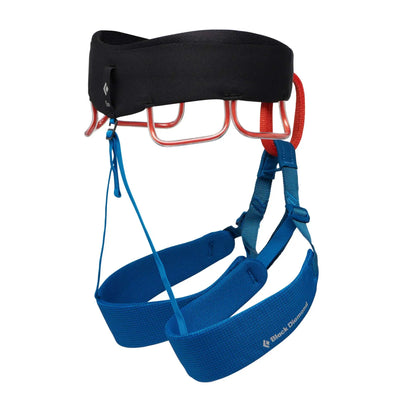 Climbing Harness NZ | Black Diamond Momentum Harness - Mens | Further Faster Christchurch NZ | #kingfisher