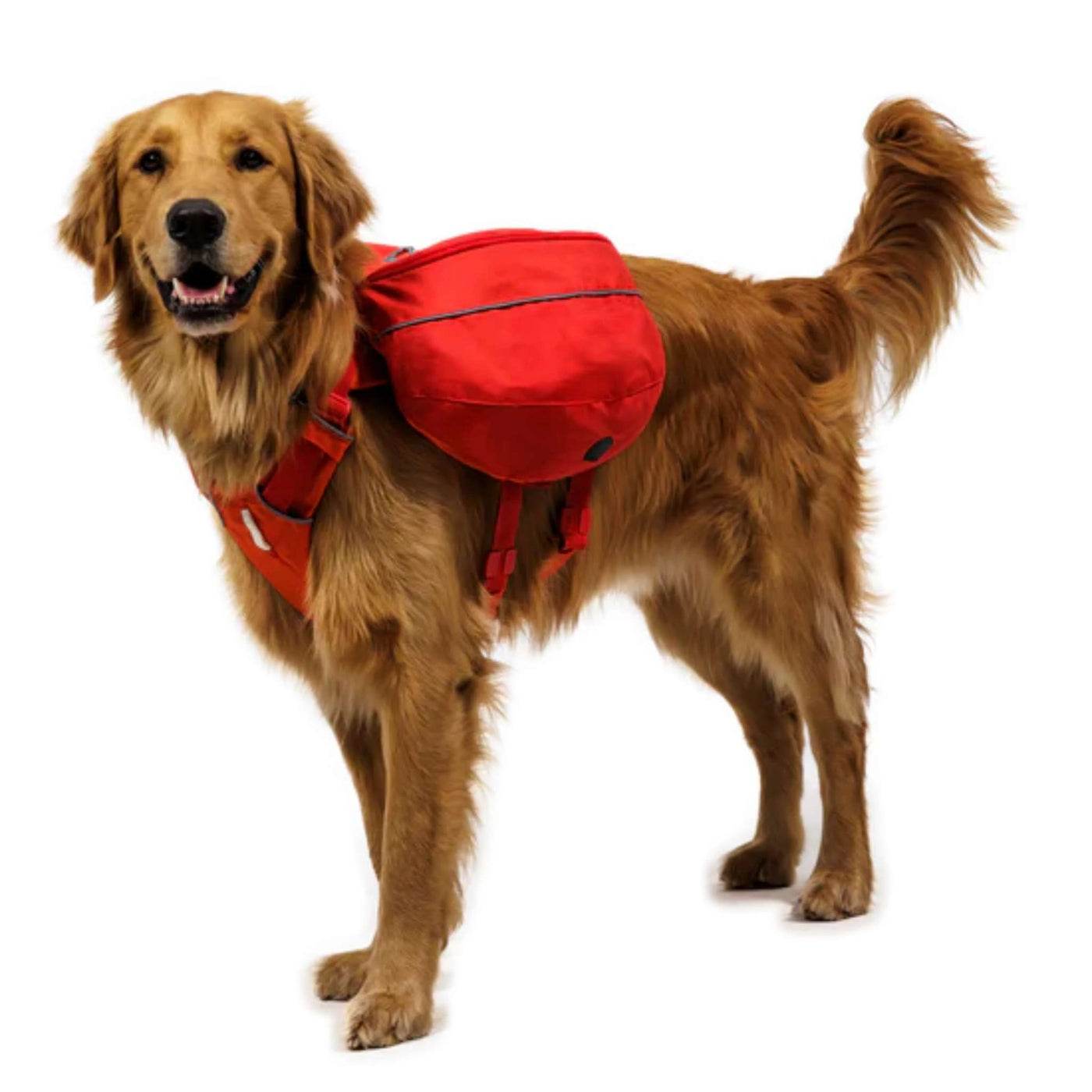 Ruffwear Palisades Dog Pack – Further Faster