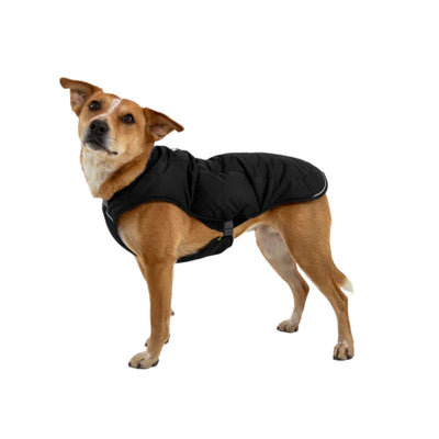 Ruffwear Quinzee Dog Jacket | Insulated Dog Jacket | Further Faster Christchurch NZ | #obsidian-black