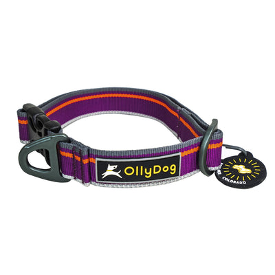 OllyDog Urban Trail Reflective Collar | Outdoor Dog Gear | NZ Olly Dog Urban Trail Reflective Collar #Wild-Aster