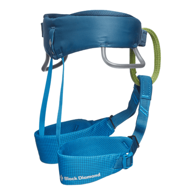 Black Diamond Momentum Harness Kids | Childs Climbing Harness NZ | Black Diamond NZ | Further Faster Christchurch NZ #king-fisher