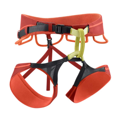 Edelrid Sirana Harness | Climbing Harness NZ | Further Faster Christchurch NZ #salsa