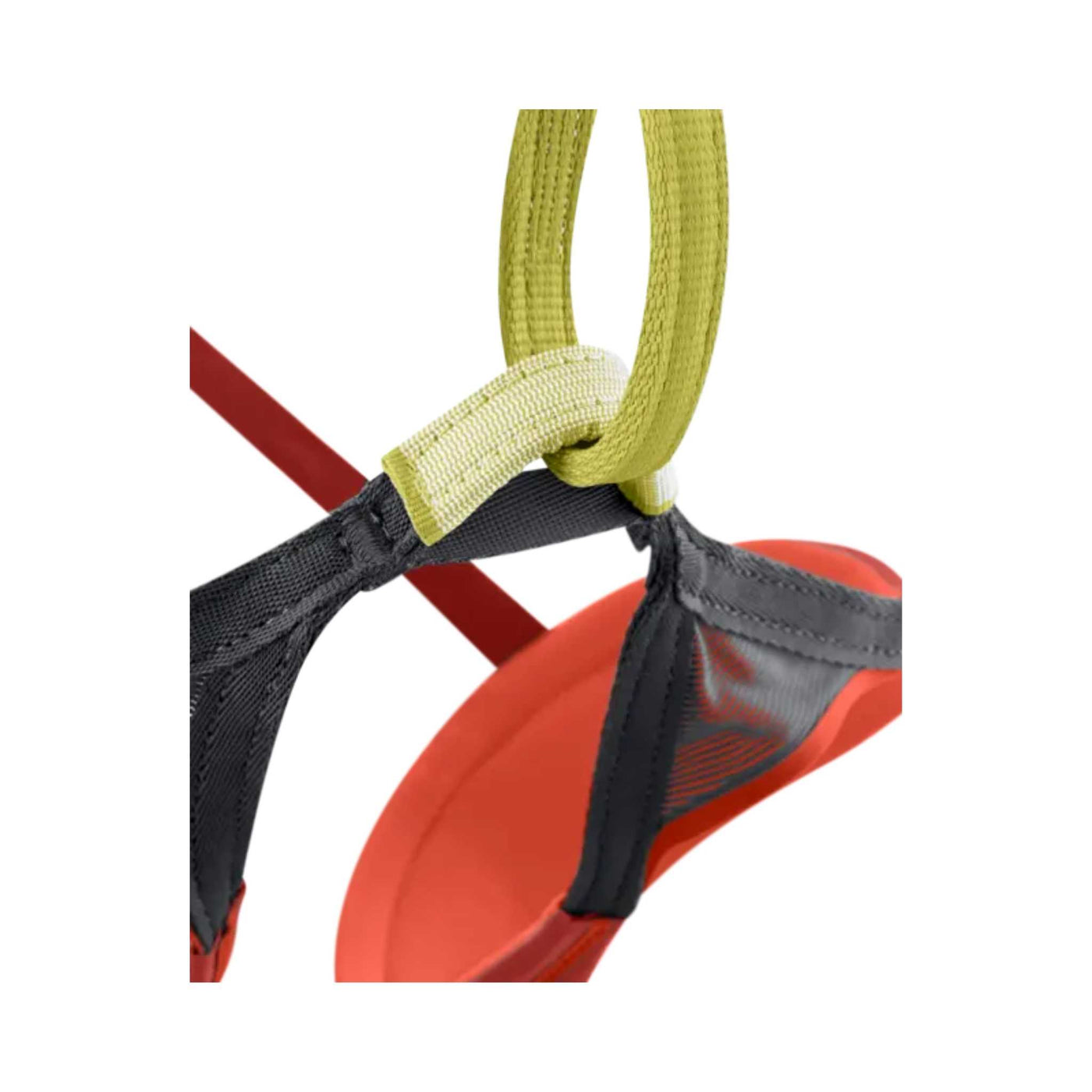 Edelrid Sirana Harness | Climbing Harness NZ | Further Faster Christchurch NZ #salsa