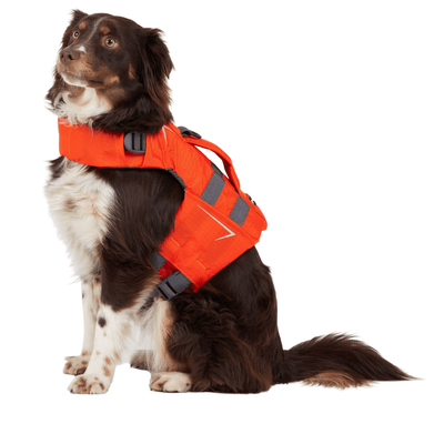 NRS Canine Flotation Device | Dog PFD | Further Faster Christchurch NZ #teal-nrs