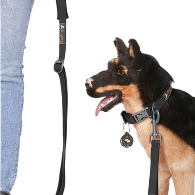 Ollydog Tilden Waterproof Leash | Outdoor Dog Gear & Harnesses | Further Faster Christchurch NZ