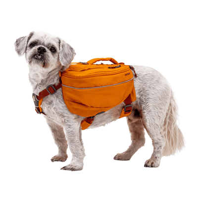 Ruffwear Approach Pack '22 | Backcountry Dog Pack | Further Faster Christchurch NZ