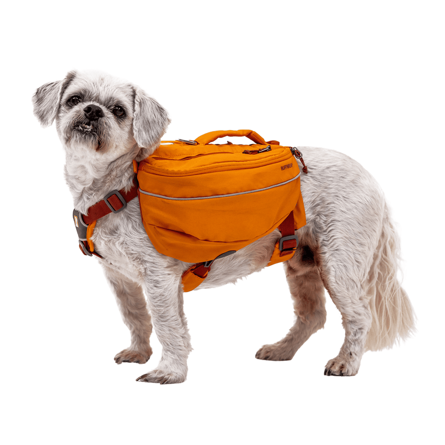 Ruffwear online dog backpack
