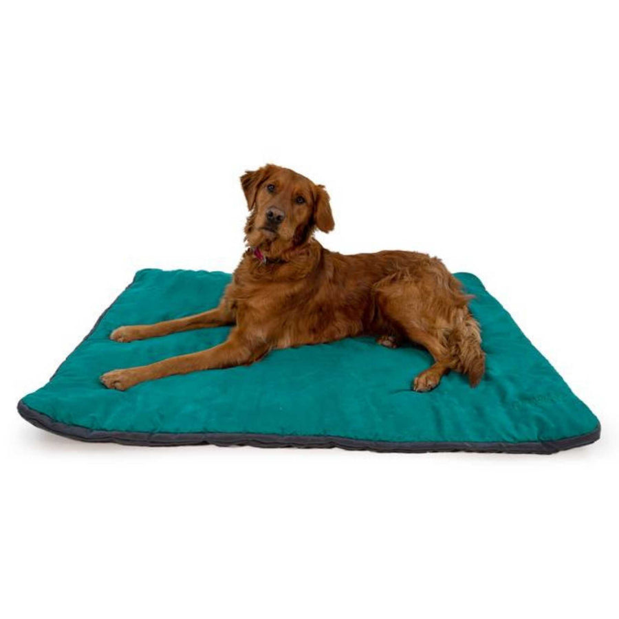 Ruffwear mt sales bachelor pad