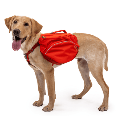 Ruffwear Palisades Pack '22 | Hiking & Tramping Backcountry Dog Pack | Further Faster Christchurch NZ #red-sumac