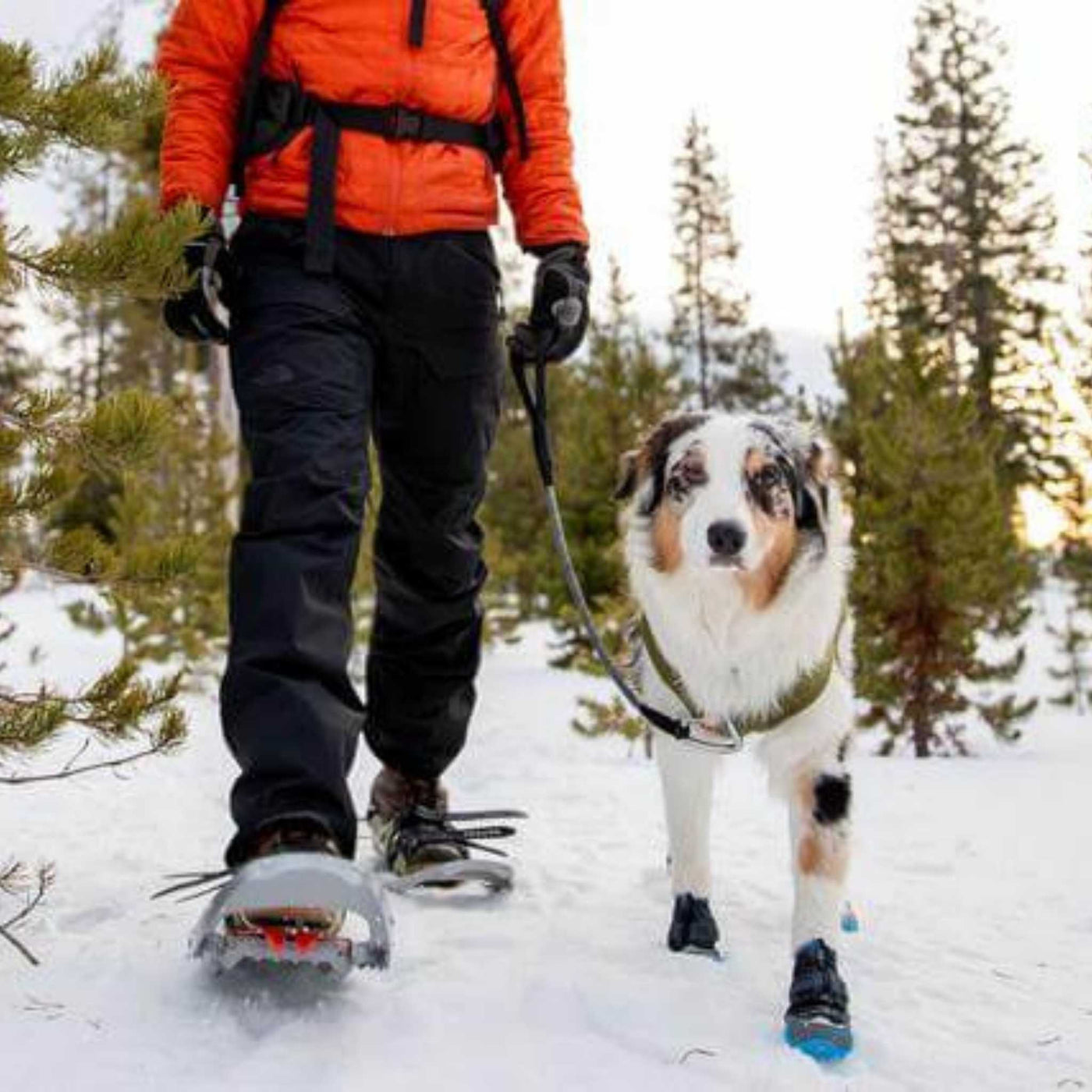 Ruffwear Polar Trex - Pair | Winter Dog Boots NZ | Ruffwear NZ | Further Faster Christchurch NZ #obsidian-black