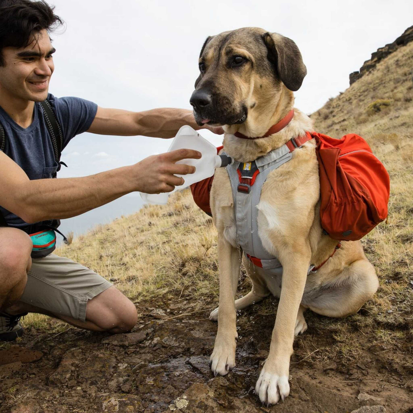 Ruffwear Swamp Cooler Core | Cooling Dog Insert | Further Faster Christchurch NZ #graphite-grey