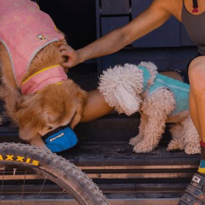 Ruffwear Swamp Cooler Neck Gaiter | Dog Cooling Accessories | Further Faster Christchurch NZ