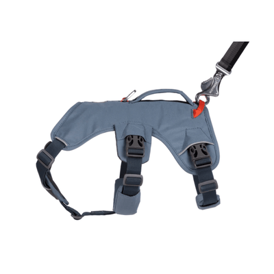 Ruffwear Web Master Dog Harness | Outdoor Dog Gear | Further Faster Christchurch NZ #slate-blue