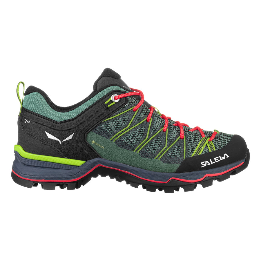 Salewa mountain hotsell trainer gtx