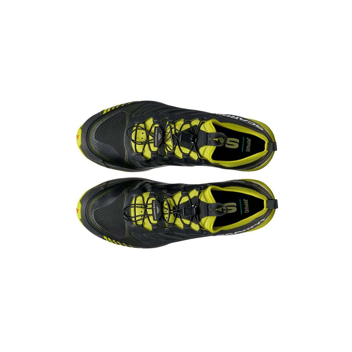 Scarpa Ribelle Run - Mens | Trail Running Footwear |  Further Faster Christchurch NZ